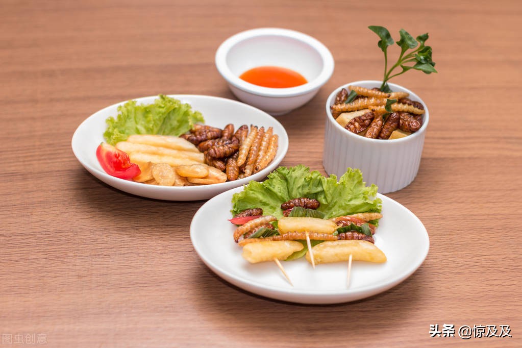 为什么人类不吃虫子,人类饿死概率