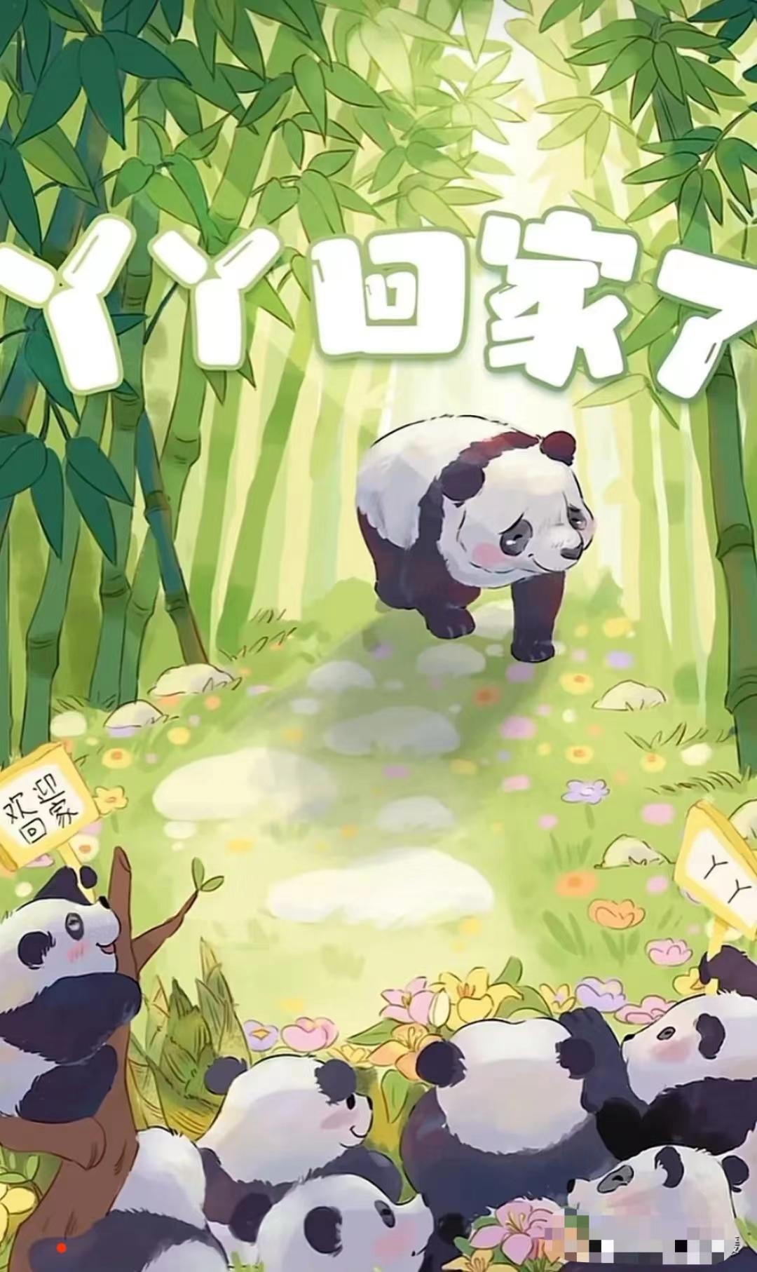 大熊猫丫丫出国前的样子,大熊猫丫丫还有几年回国