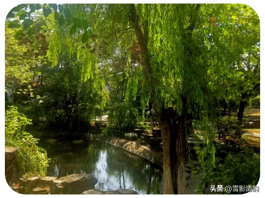 「文人情怀」月影|《吟秋》组诗