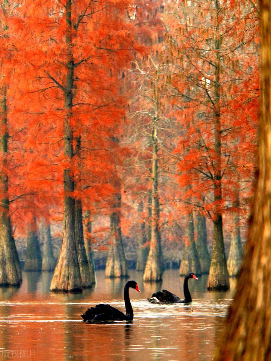 中国名字好听的县,四川名字最好听的县城