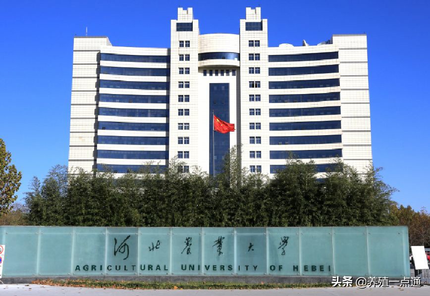 安胜英（女），河北农业大学副教授、硕导，禽业、中兽药专家