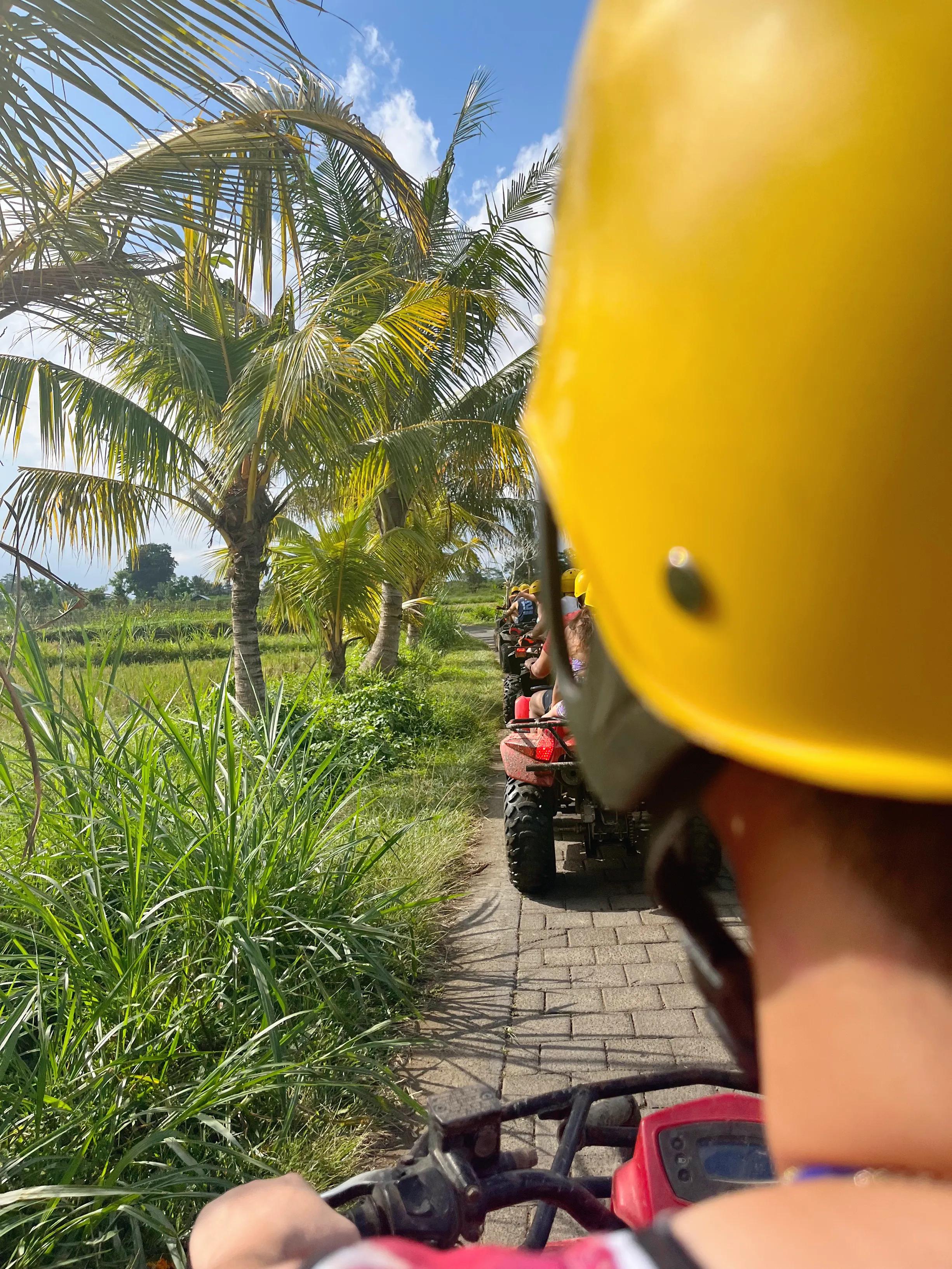 印尼2023入境政策,印尼巴厘岛最新入境政策