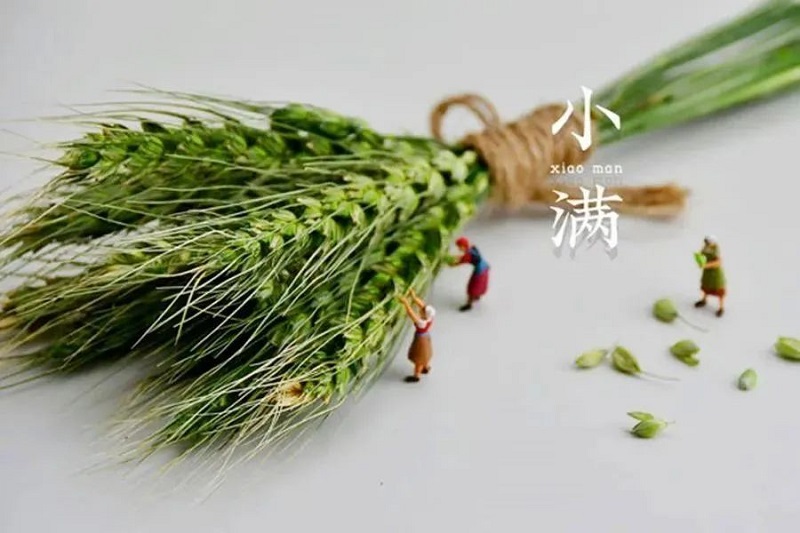 人生没有大满只有小满文案,小满文案今日小满人生向阳处