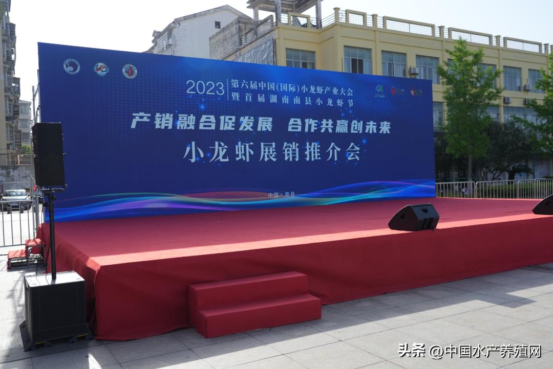 2023年南县小龙虾价格行情,南县小龙虾价格报价