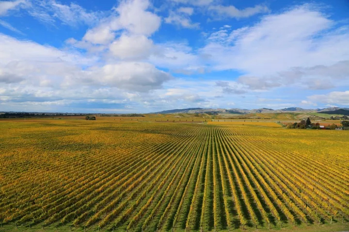 12星座配对预估,12星座配对连线