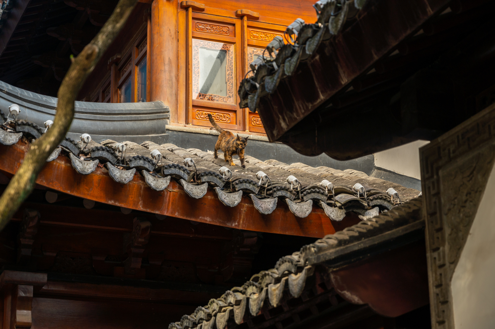 寒山寺千年古刹,苏州千年古刹灵岩寺