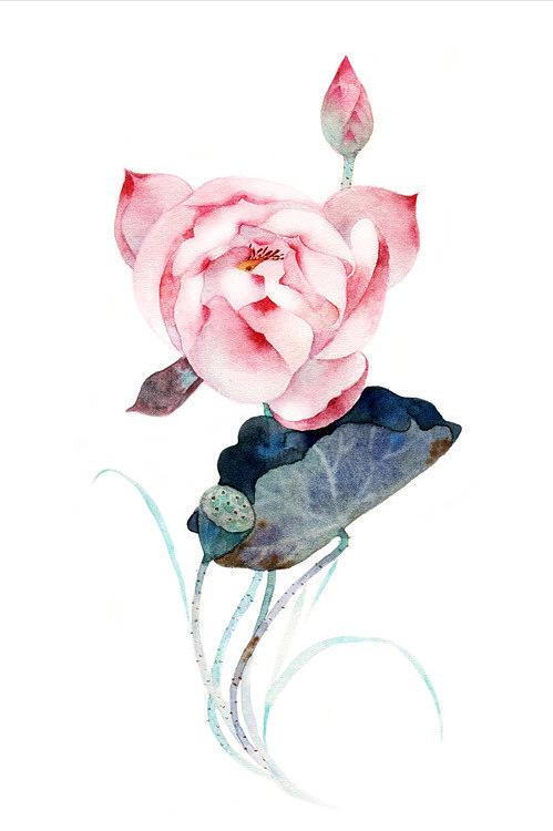 十首最美荷花诗词,最有韵味的荷花十首诗词