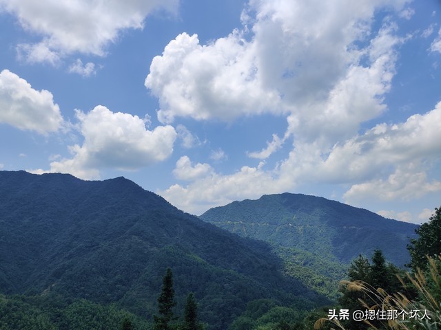 鼎盛王朝vr,鼎盛王朝康熙大典