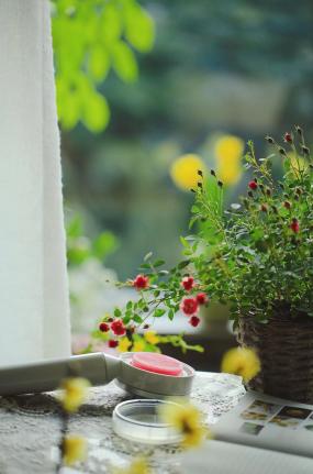 最新款的法恩莎淋浴花洒,什么花洒性价比高又好白色