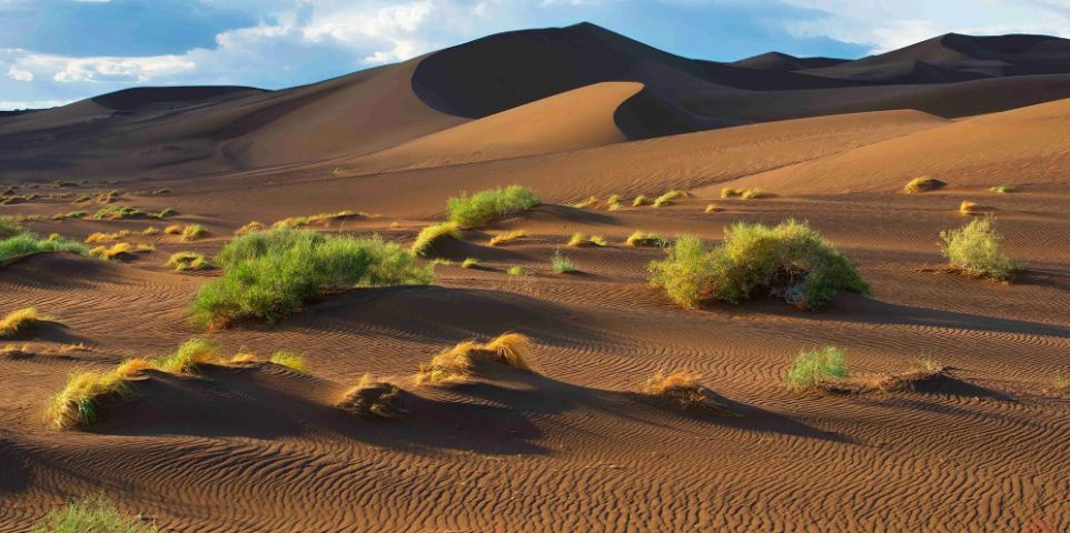 沙漠有西瓜为什么无人敢吃,沙漠里有西瓜为何没有人去吃