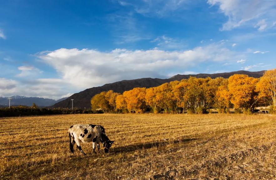 最是新秋好时光，有关新秋的诗词，在诗词里欣赏新秋的美景！​