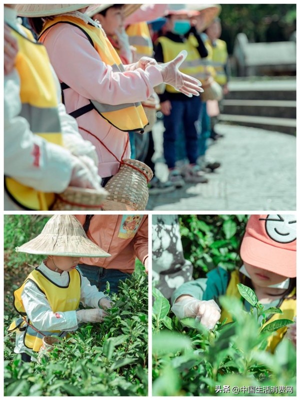 植树节安全新视角：嘉得利送上儿童防护手套“及时雨”