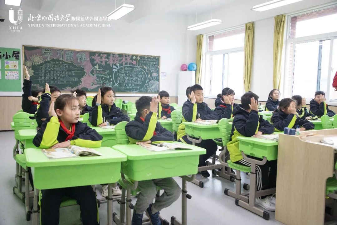 双新改革下的高质量英语教学反思,双减政策下英语教学实录