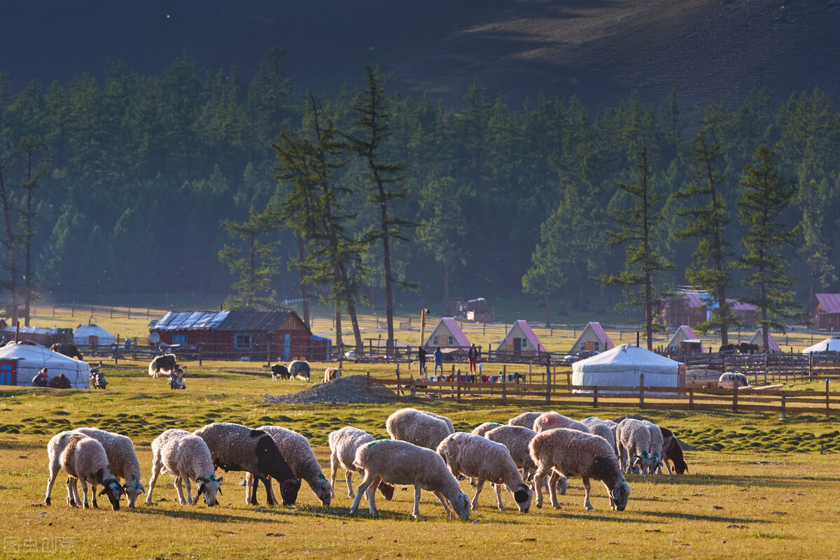 蒙古族的历史文化和习俗,关于蒙古族的各种资料