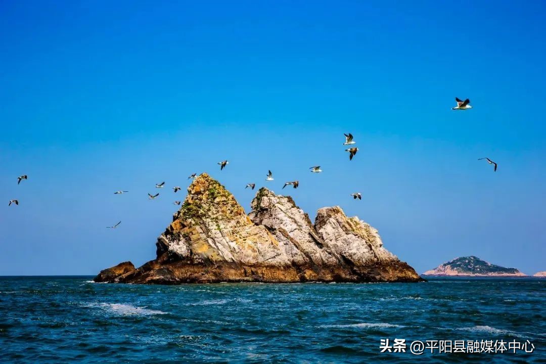 南麂岛哪个位置最好,坐拥八大出海口