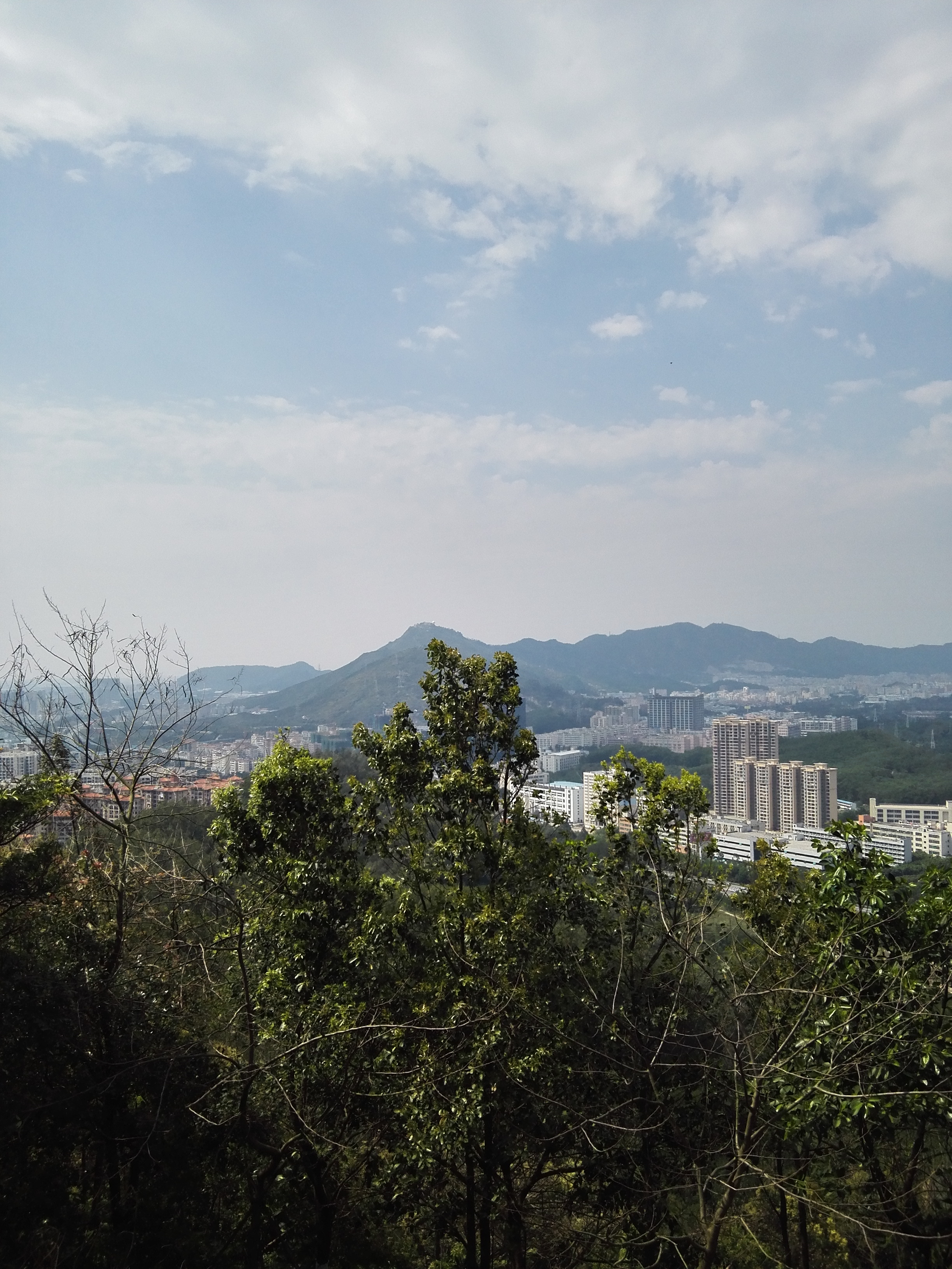 深圳平峦山公园,深圳宝安平瑾山公园图片大全