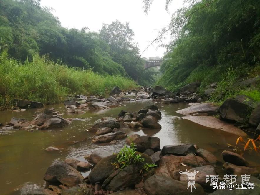 恐龙故乡黑龙江,四川的恐龙之乡