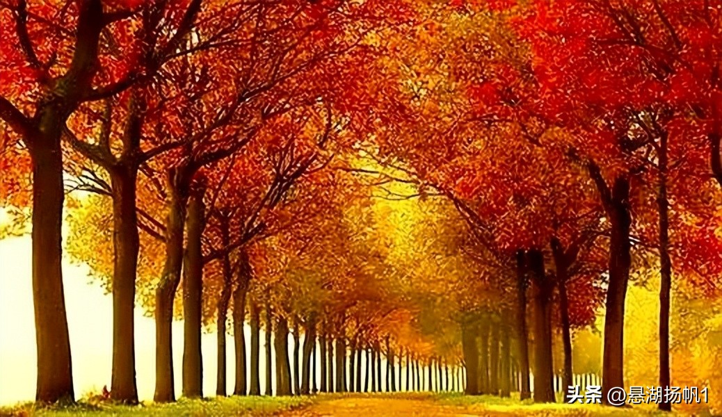 学习强国知识点合集1至5,学习强国2017年8月1日