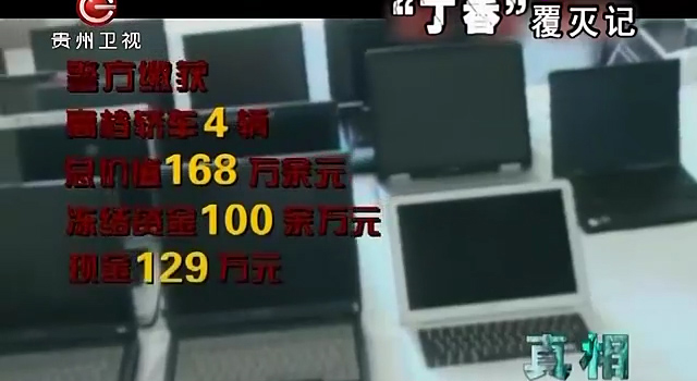 丁香覆灭记中的警方,丁香覆灭记免费观看