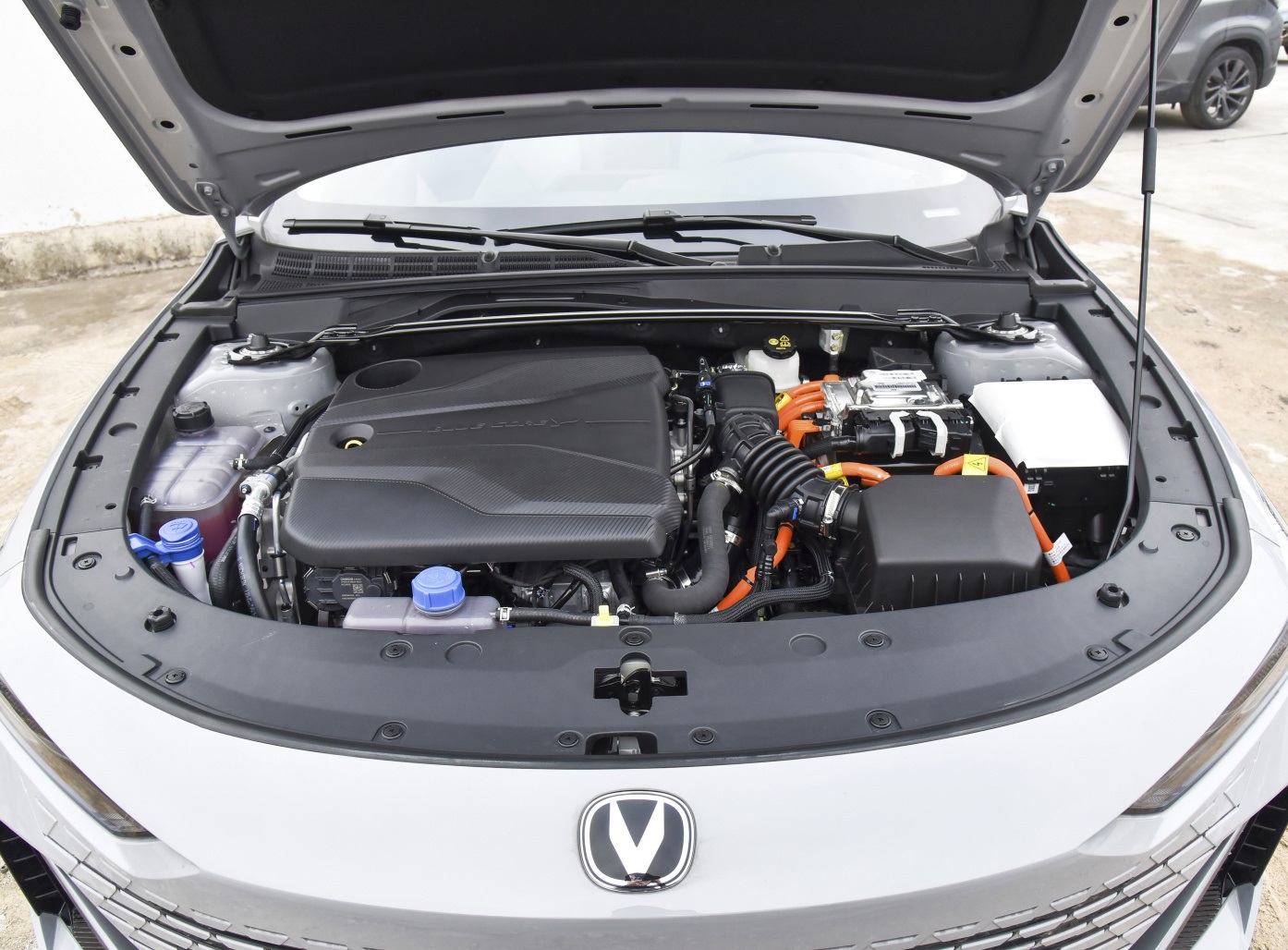 最低6万起这4台精品轿车家用首选,如何选择省油的紧凑型车排行榜