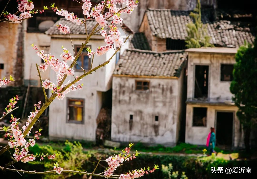 清新唯美小诗词,每天十句唯美诗词