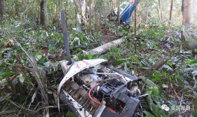 13岁奇迹女孩坠机后带弟妹丛林求生40天,竟是因被继父长期性侵