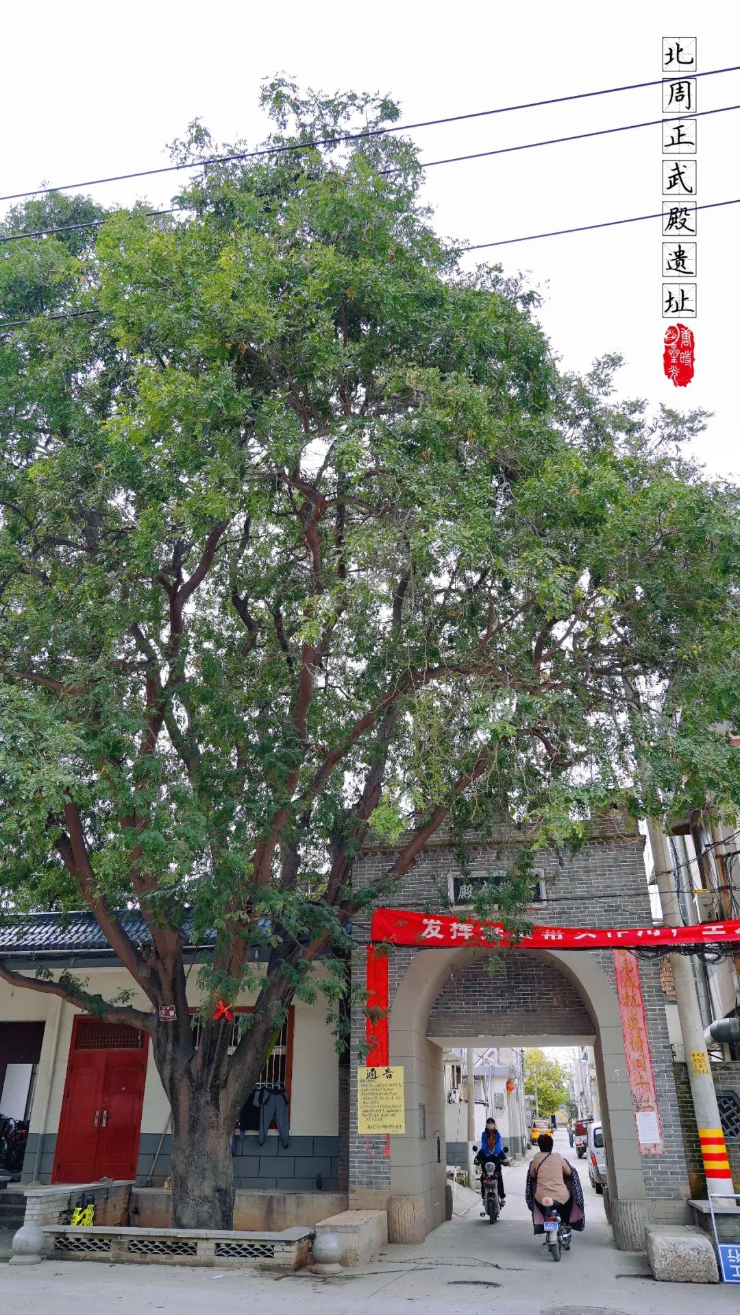 【陕西西安】汉长安城中的北周正武殿遗址帝王梦想的见证人