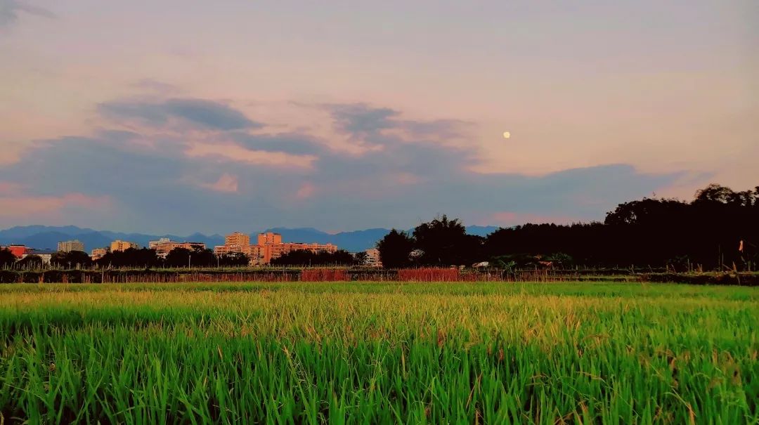 拍照好看民宿附近,拍照好看的民宿酒店