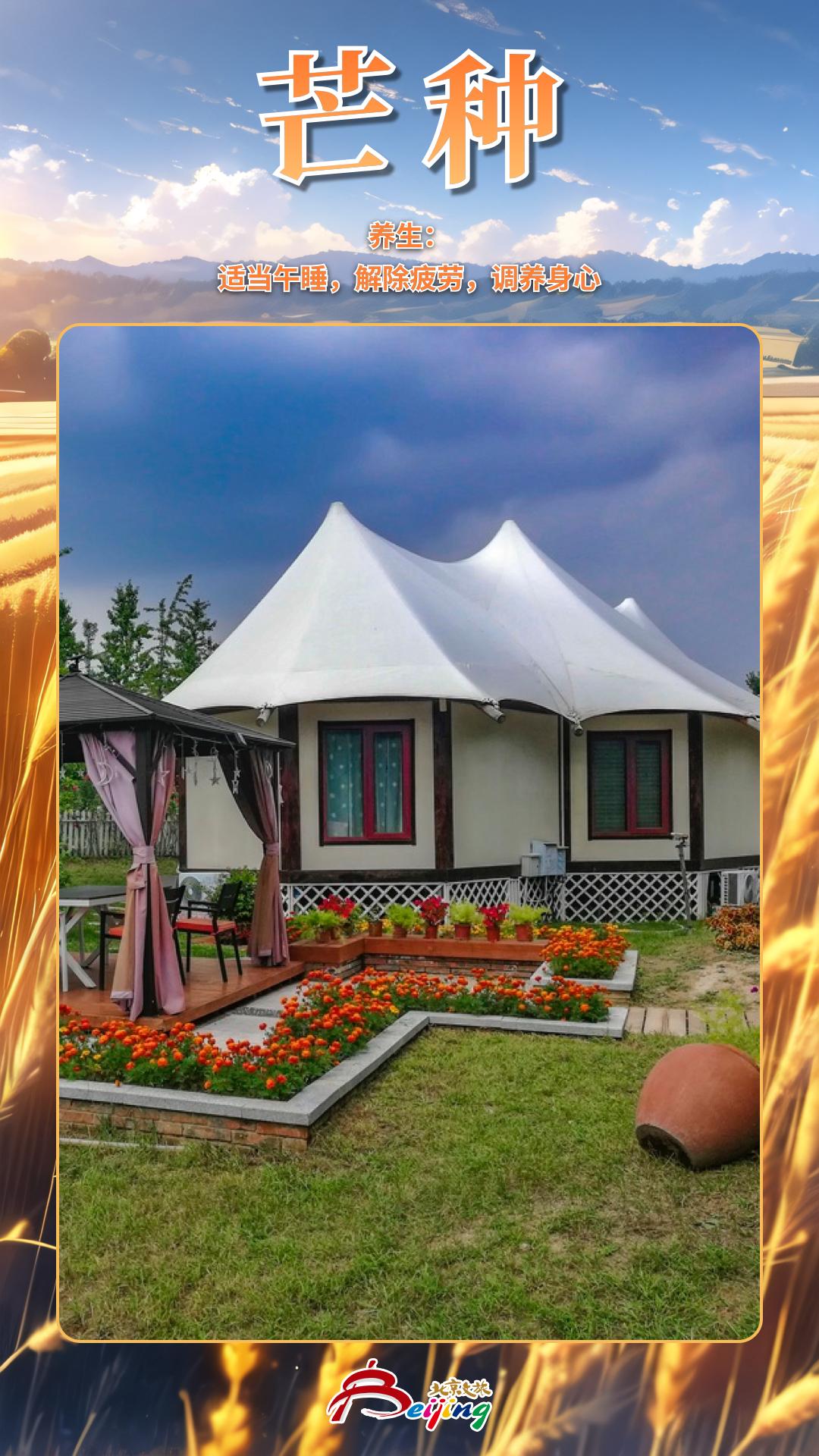 今日芒种|相逢问蚕麦,幸得称人情