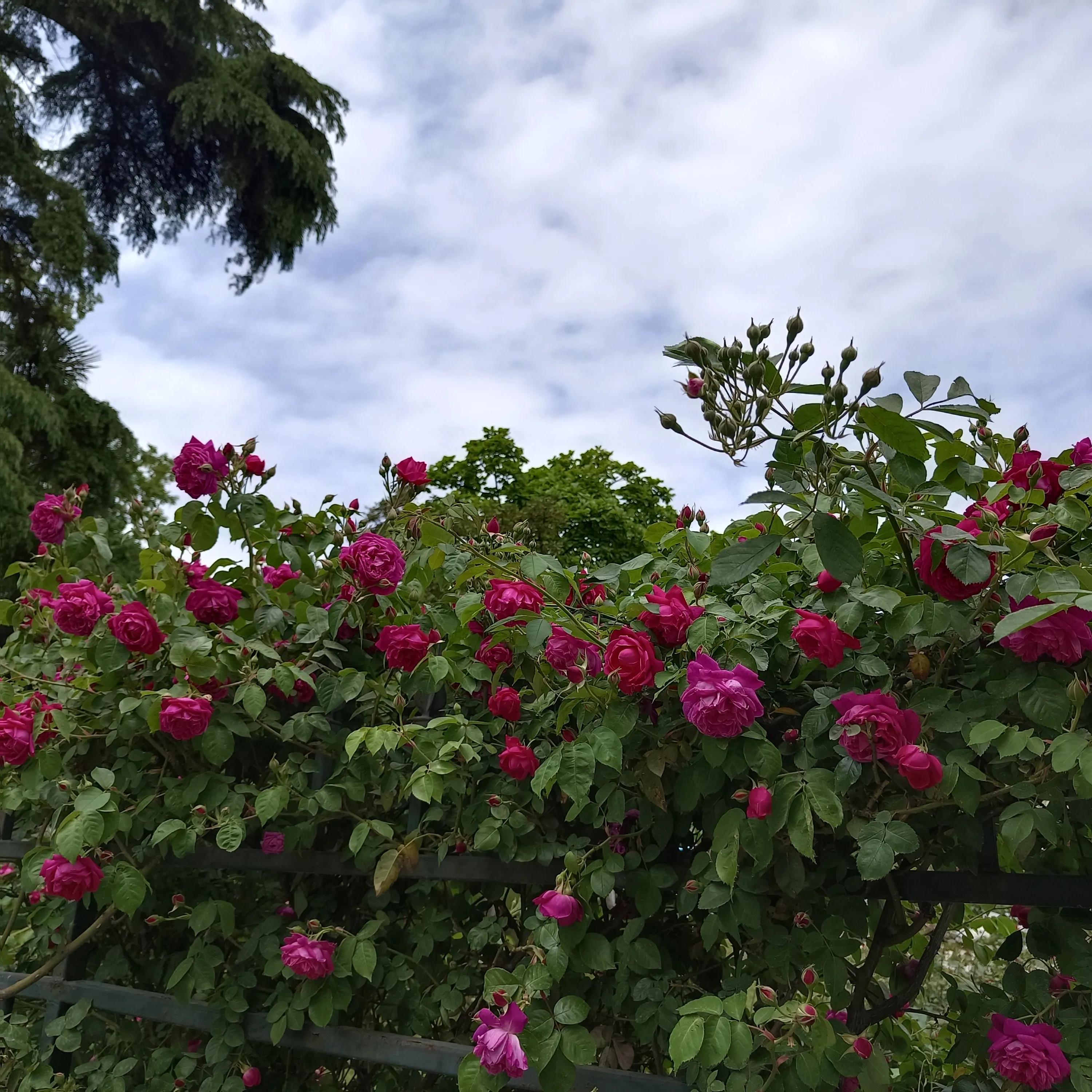 读书分享会发言稿,读书分享会分享一本好书