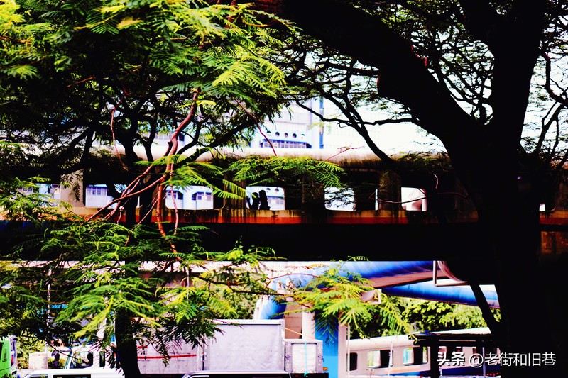 罗生门和黄粱梦,罗生门香港live