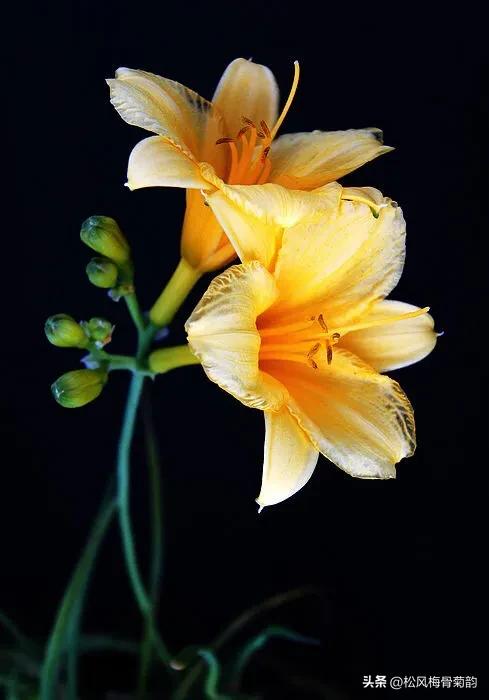 地上的花开万紫千红,心中有花香人生四季皆风景