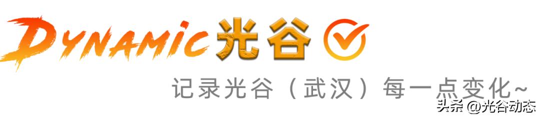关山大道到软件园,关山大道到东湖磨山