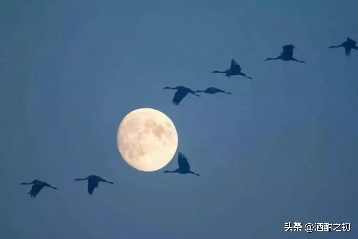 乡村故事私奔6,乡村故事65集