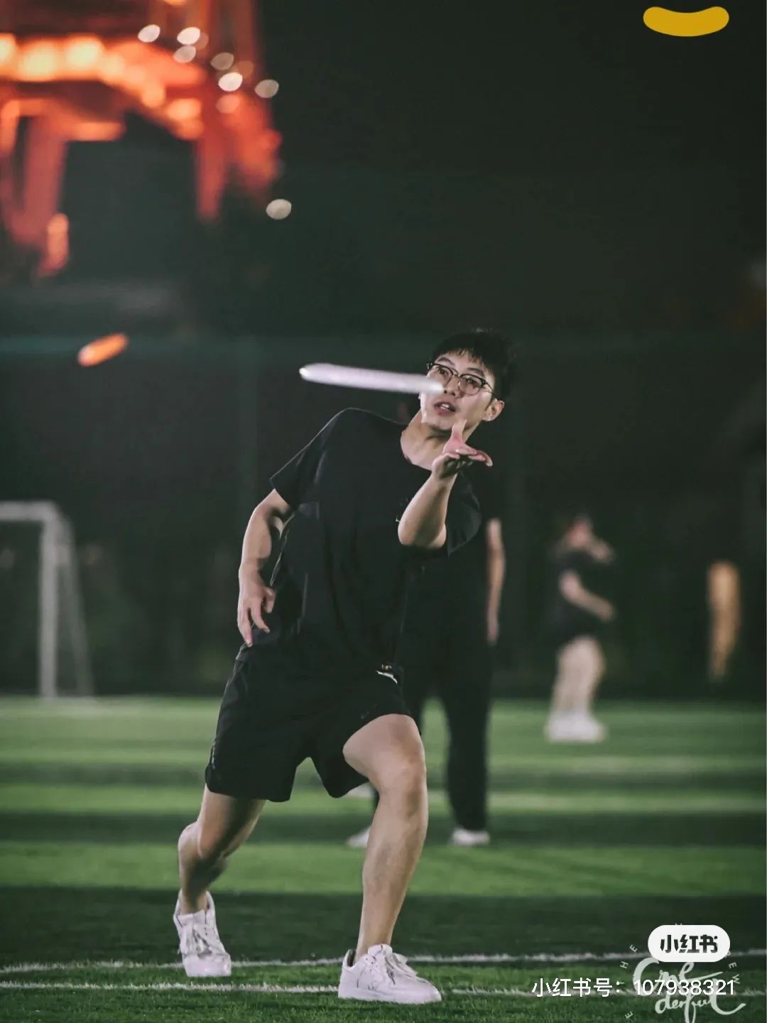 上海玩宠物,上海玩狗户外