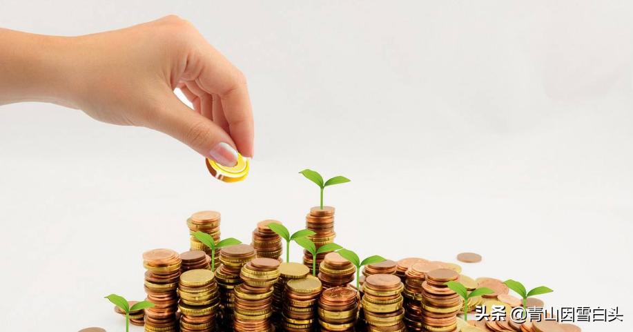 农村空闲地如何合理利用,农村未来发大财的方向