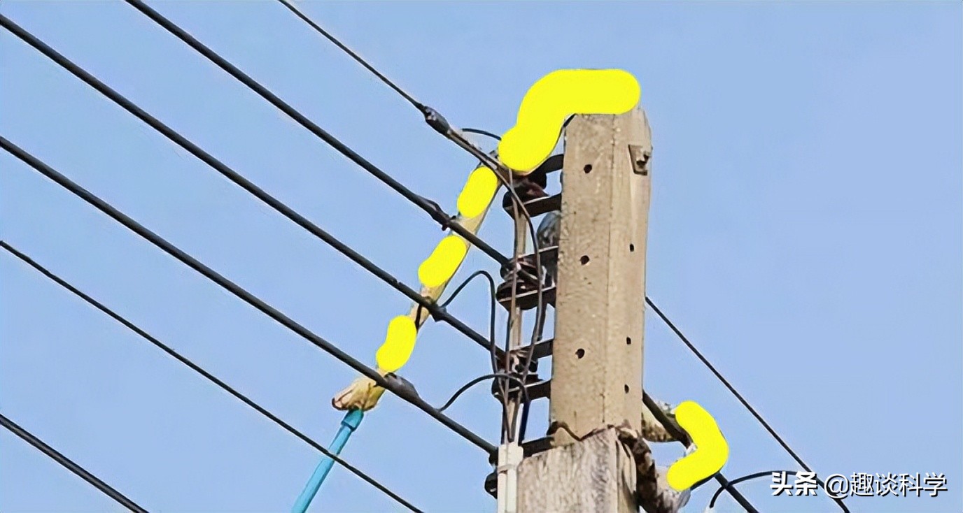 25楼有蛇是怎么回事,25楼家里出现蛇