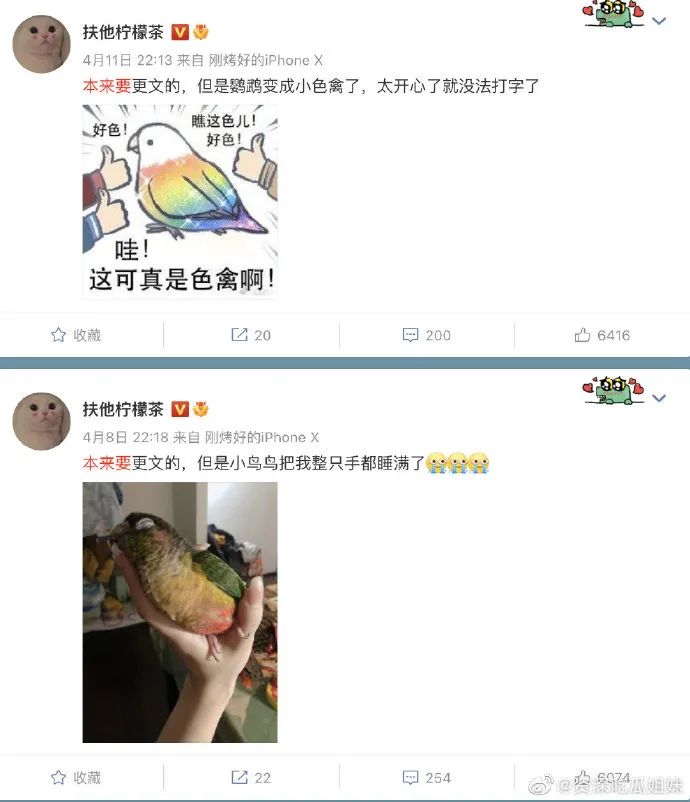 “网文作者自曝丁丁炸了？”哈哈哈这借口也太离谱了