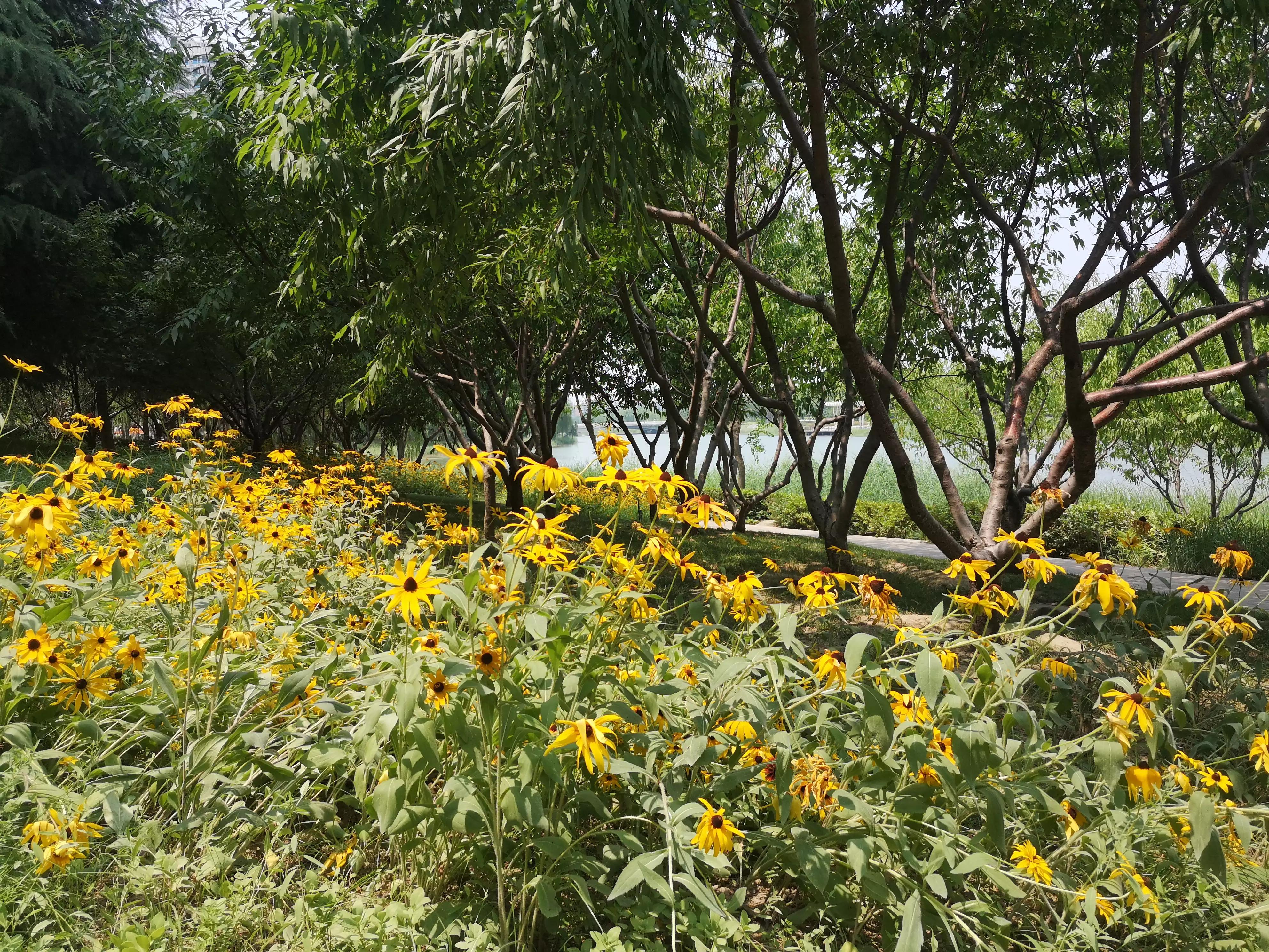 自传小说：职级并行飞走记321回一辈子不爱沾外人光的老教师