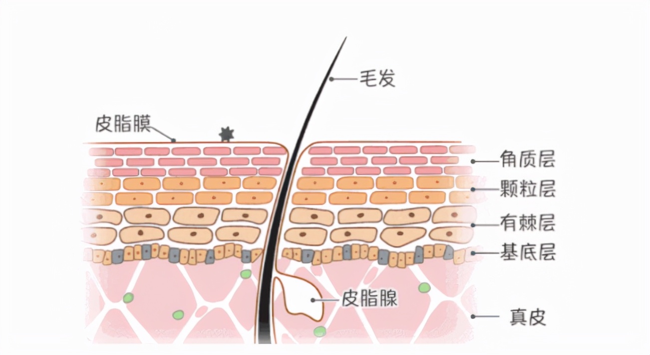 油腻男的2021年终总结：10款亲测好用的男士个护好物推荐