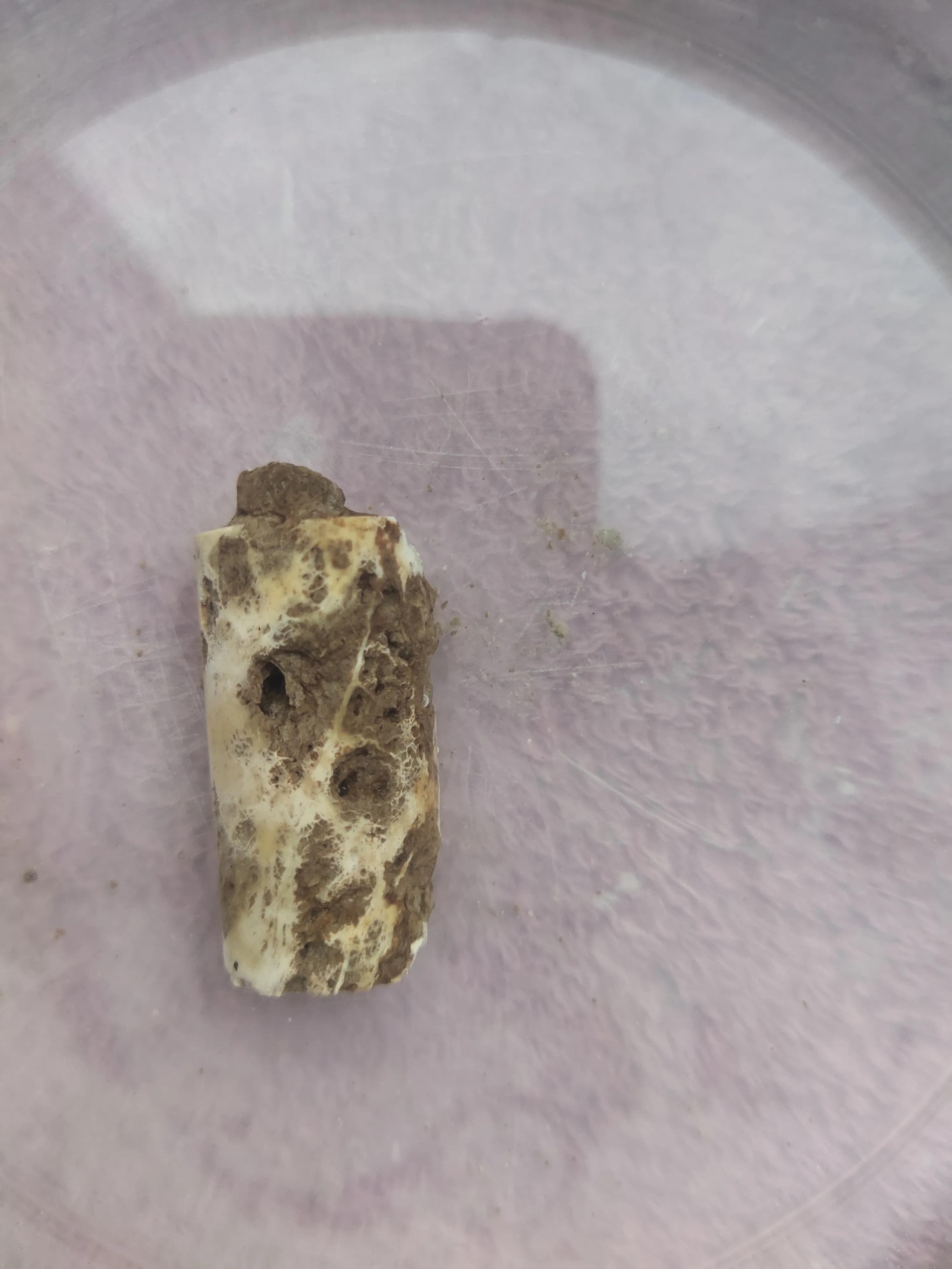 试论高古玉标本是如何毁灭的