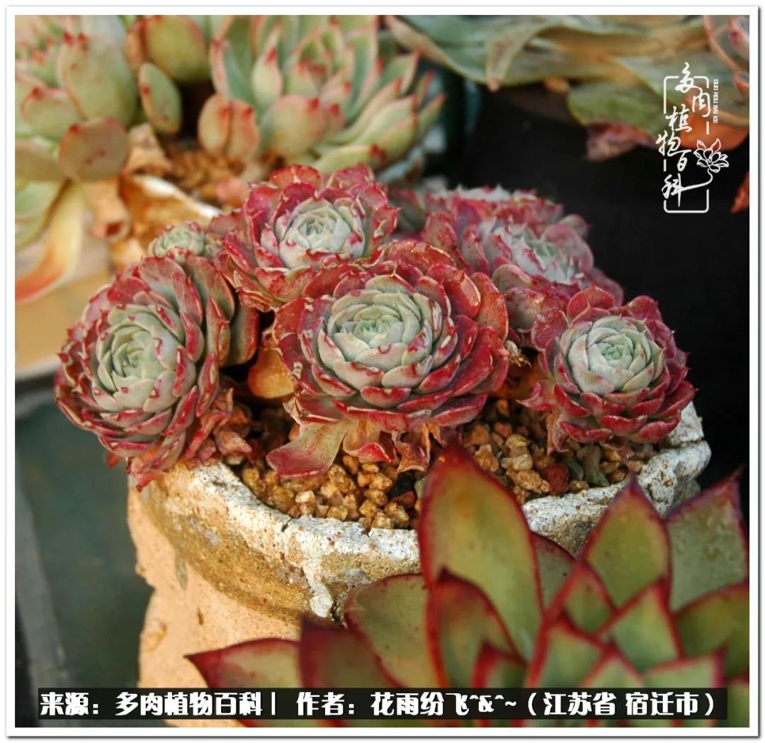 快乐的童年时光视频,回味快乐的童年美好的时光