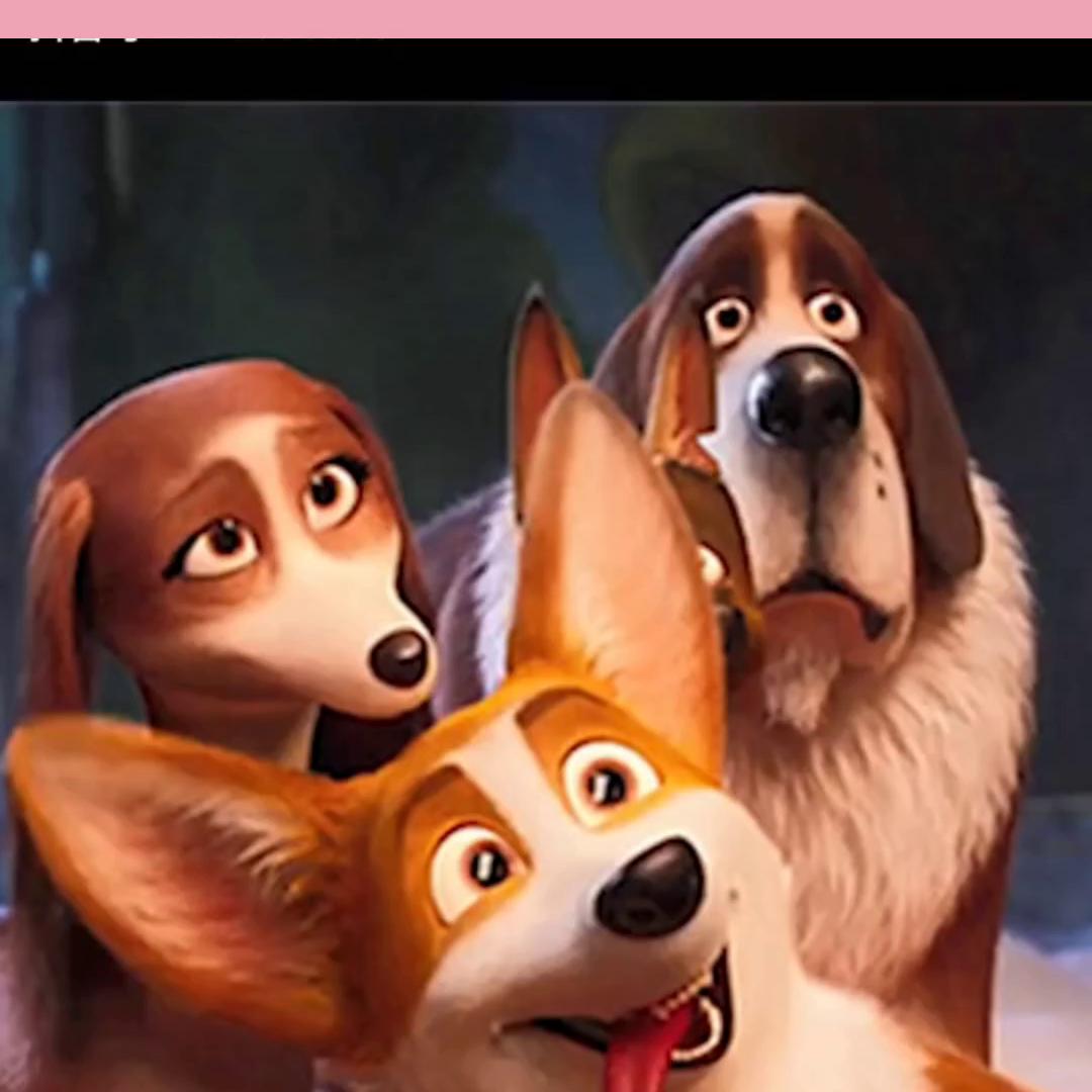 看了又看韩剧,看了又看全集