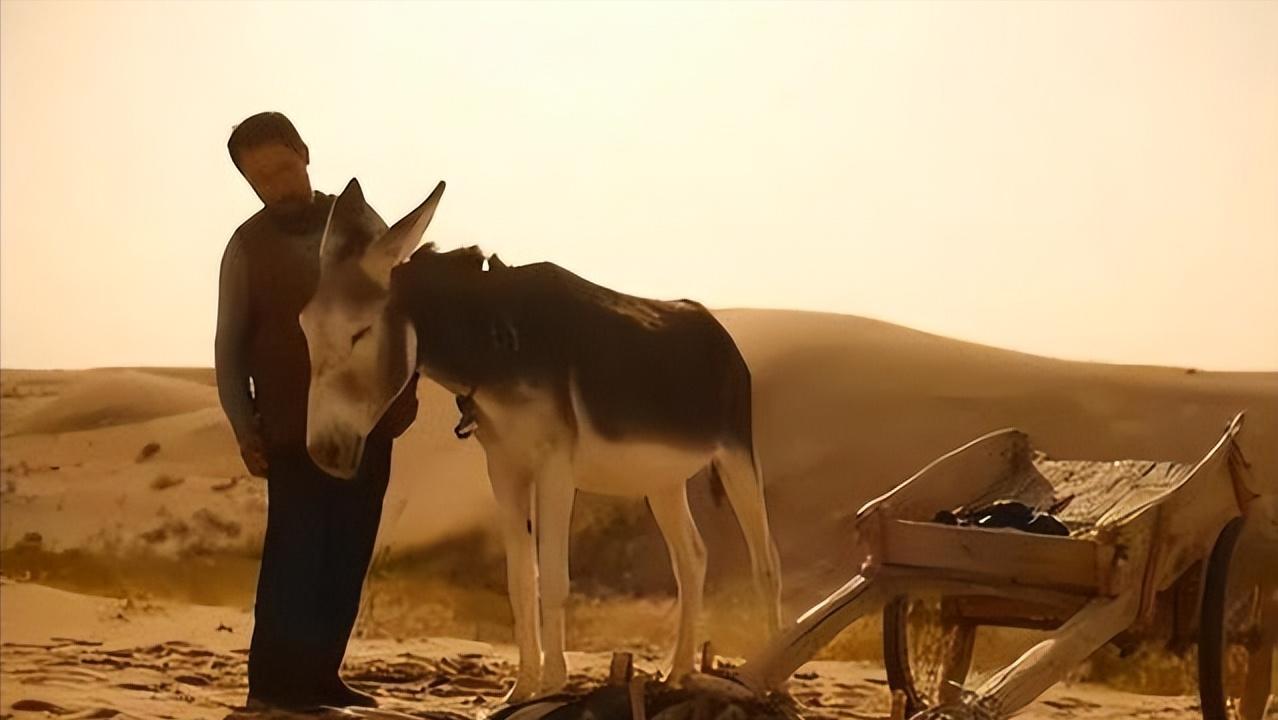 土地《失语者》边缘人物《隐入尘烟》