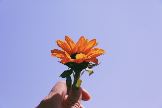 幽默简短小故事大全及感悟,5个幽默小故事让你开心一整天