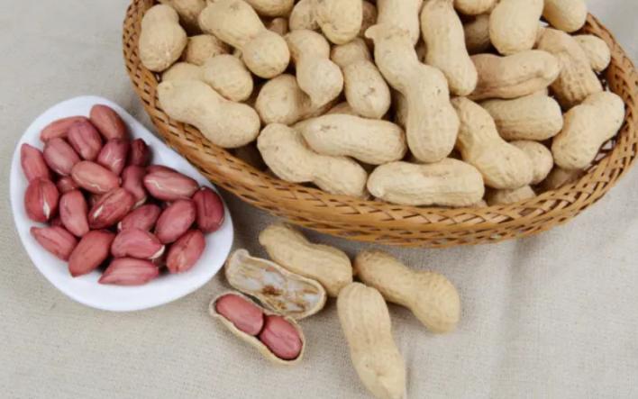 秋季温补吃羊肉,秋季吃羊肉的五大禁忌