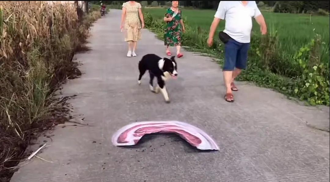 3D画让我对这个世界的真实性产生了怀疑，眼见为实未必是真的