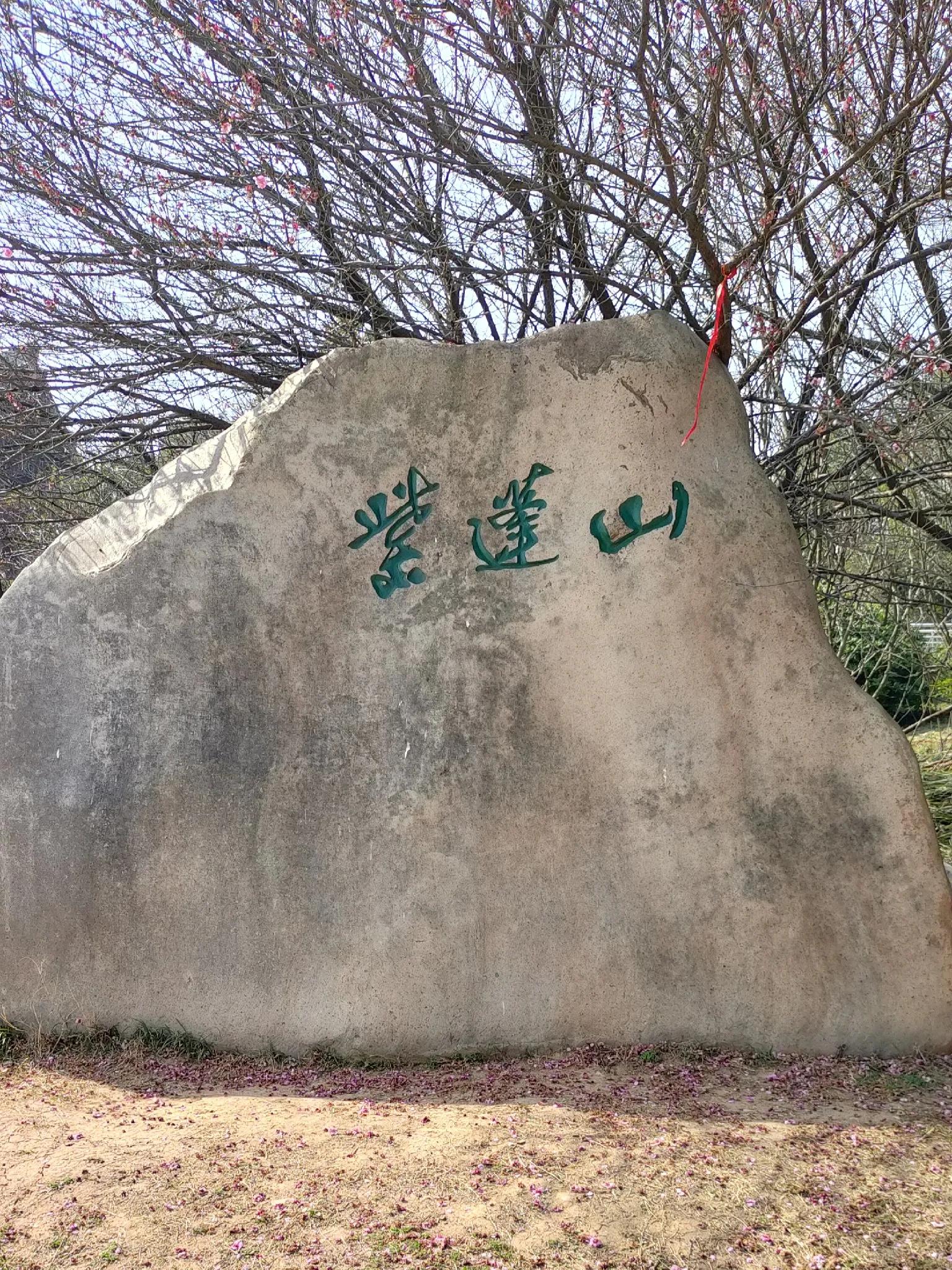 合肥旅游景点大全排名榜前十名,合肥市区旅游攻略必玩的景点