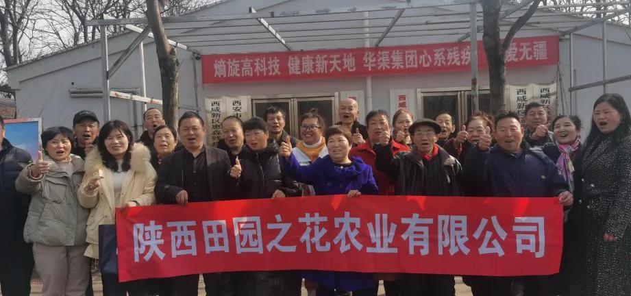 山东养心菜种植基地,河南养心菜种植基地