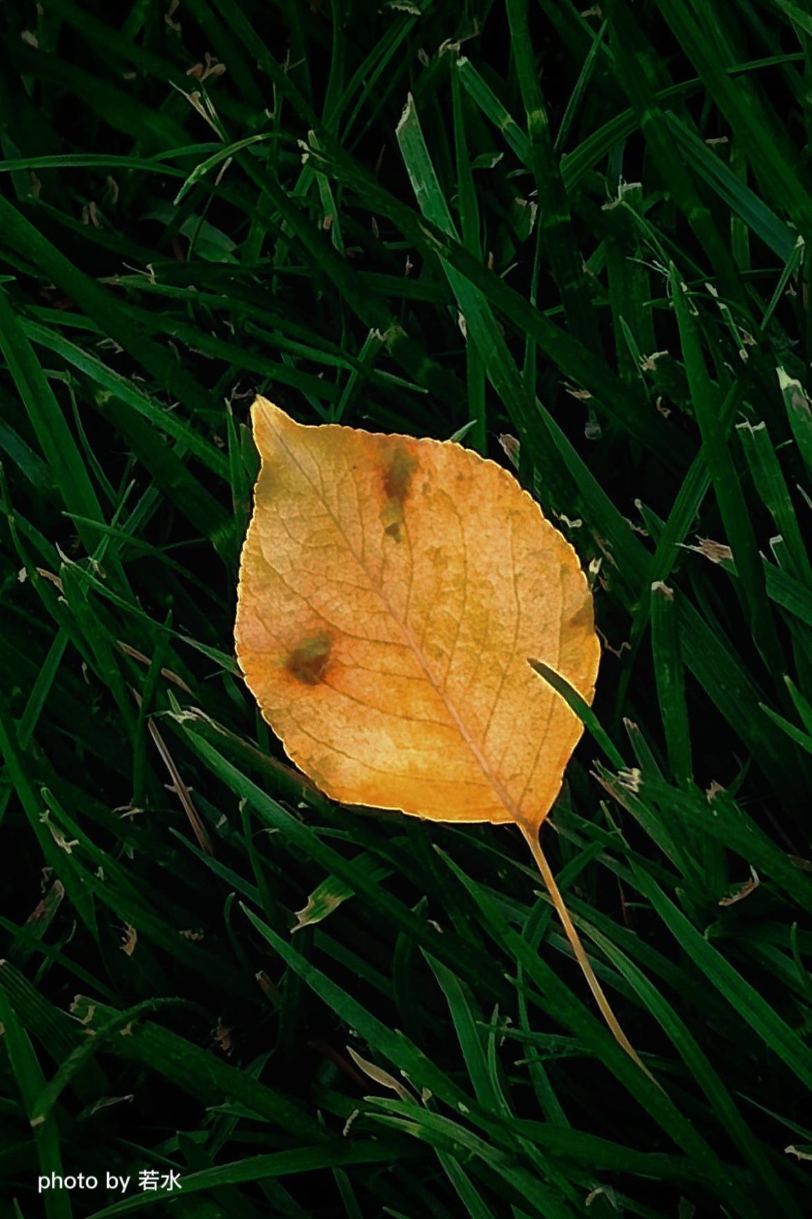 手机拍照的一些小技巧,手机拍照的3个小技巧很实用